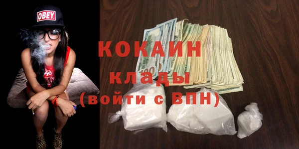 стафф Алексин