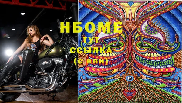 стафф Алексин