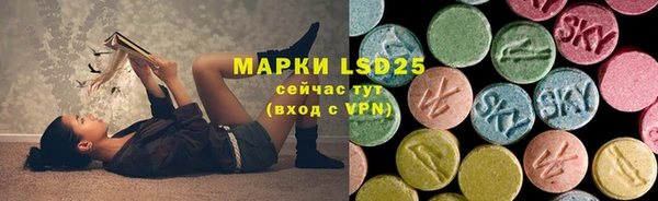 стафф Алексин