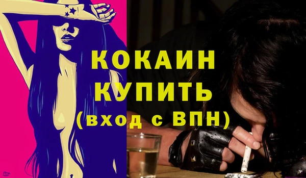 стафф Алексин